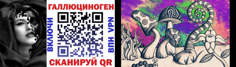 закладки  Городище  mega ССЫЛКА  Галлюциногенные грибы GOLDEN TEACHER 